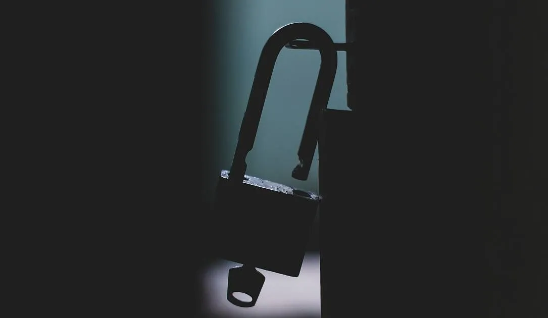 FBI: Akira gang has received nearly $250 million in ransoms