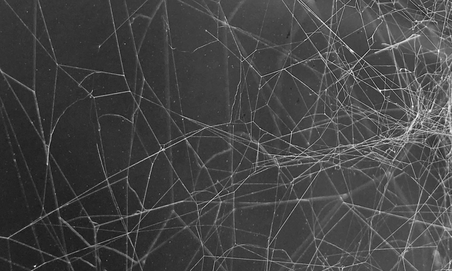 Ukrainian police detain man who offered services to Russian intelligence on darknet - threcord.media(cybercrime)