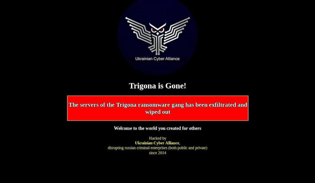 Trigona website