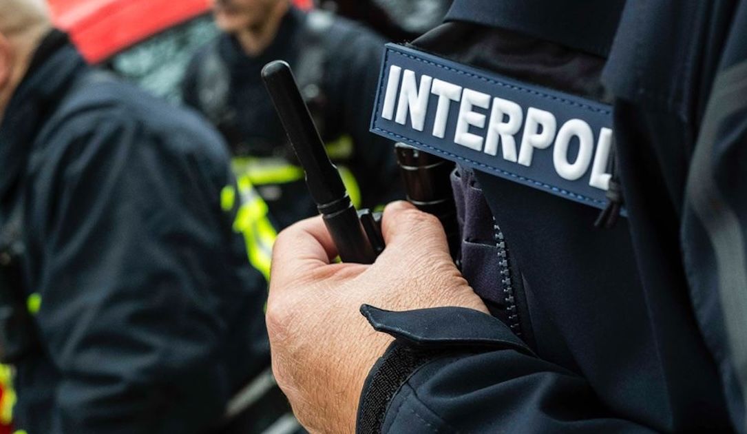 Four arrested for allegedly attempting to sabotage Interpol criminal search system - threcord.media(tech)