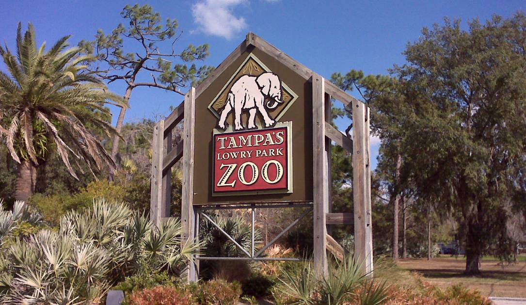 Tampa Zoo