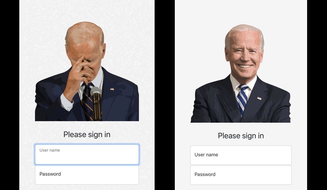 Screenshots of login pages from BidenCash sites.