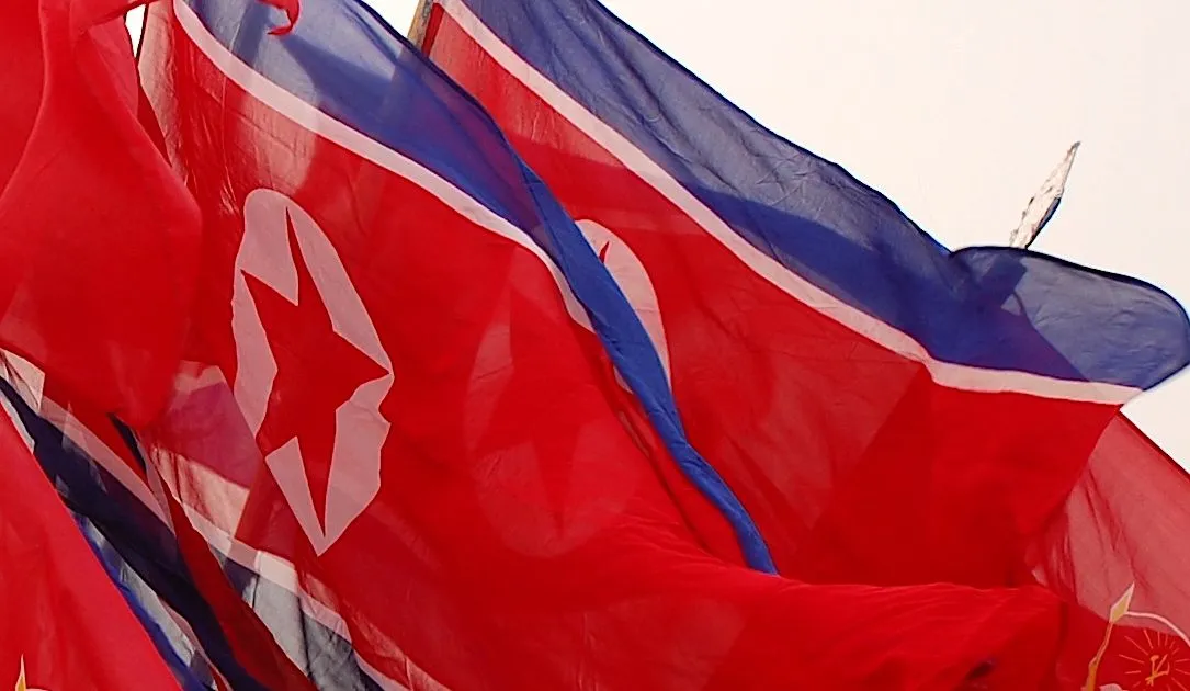 North Korea flags
