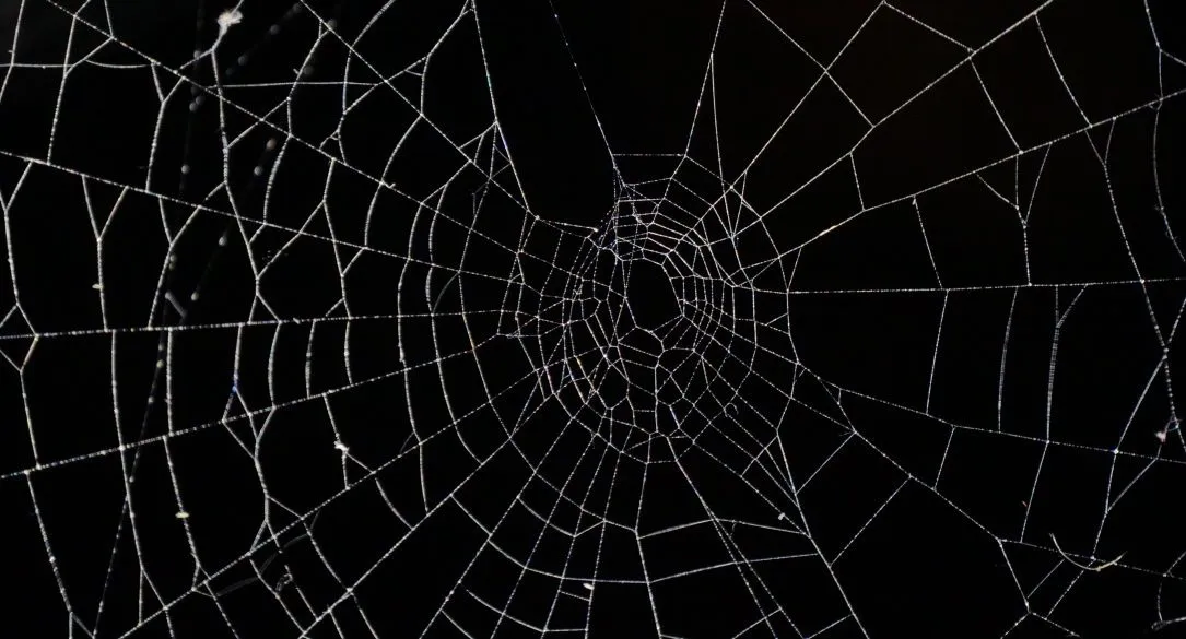 A third of all dark web domains are now v3 onion sites | The Record ...