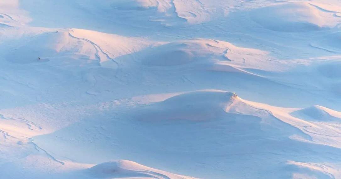 Snowy dunes (Credit: Ant Rozetsky)
