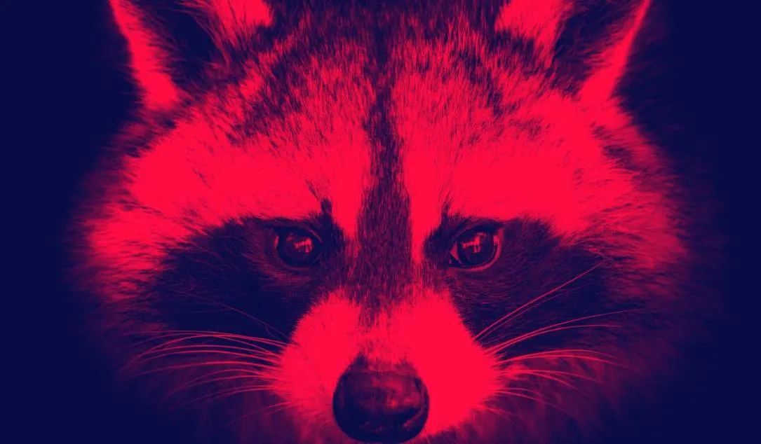 Raccoon malware