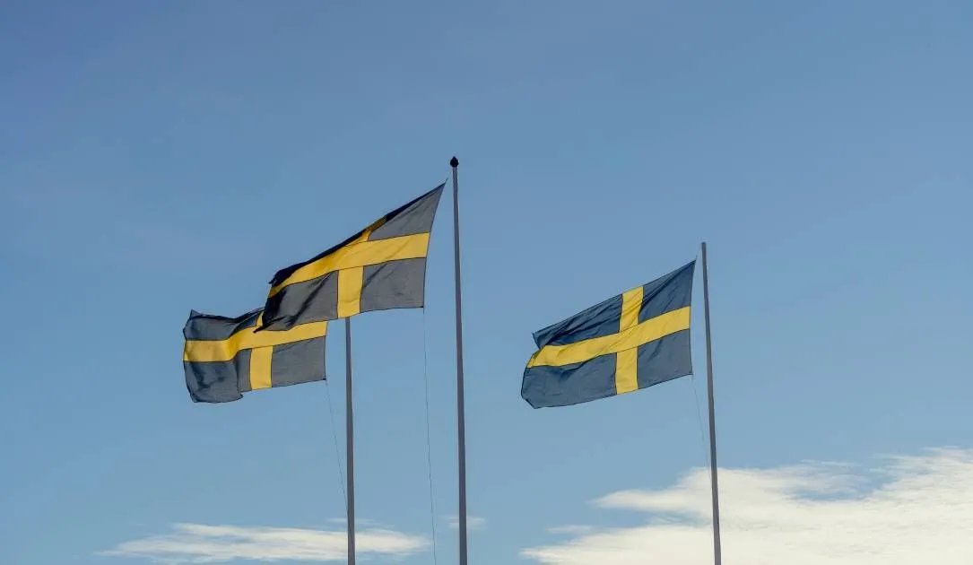 Europe must adapt to ‘permanent’ cyber and hybrid threats, Sweden warns