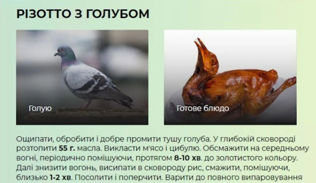 pigeon risotto recipe from information operation aimed at Ukraine