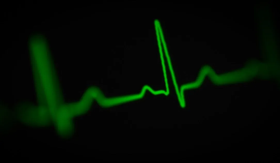 heart rate, heartbeat