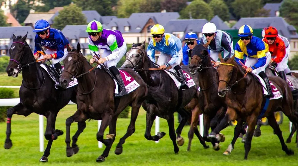  horse racing
