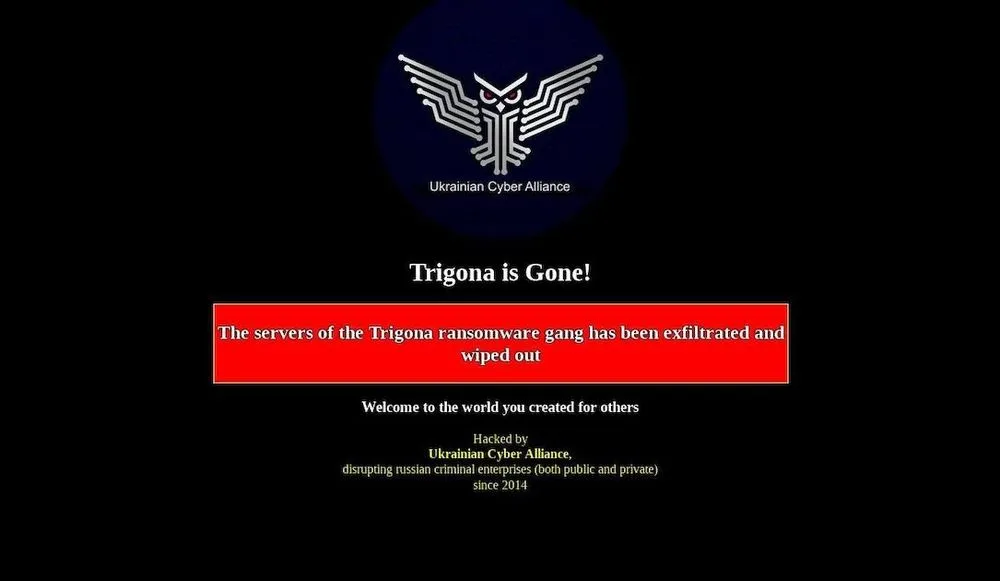 Trigona website