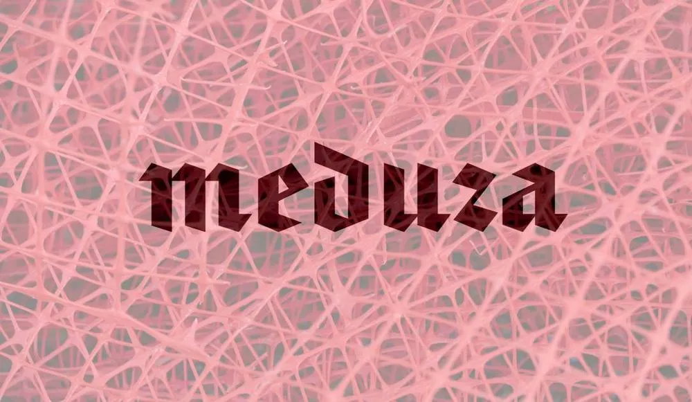 Meduza