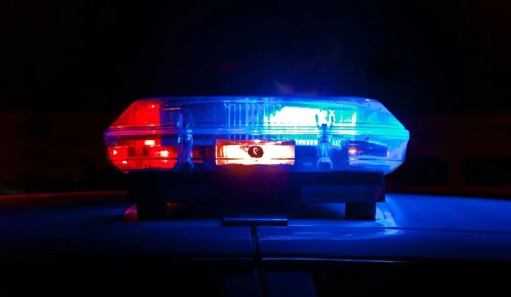 Police light