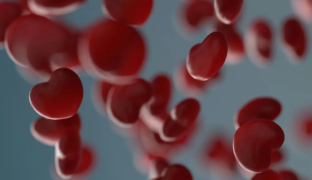 blood
