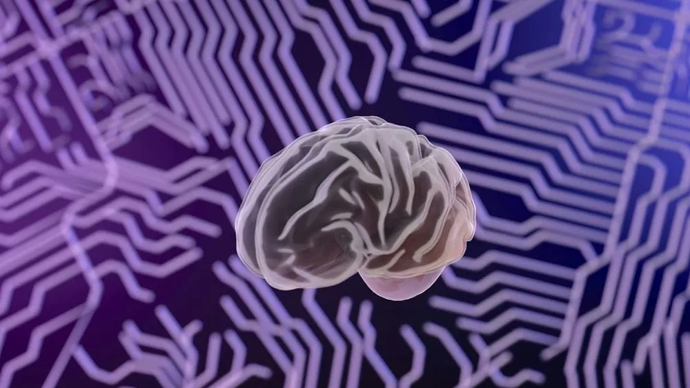 brain