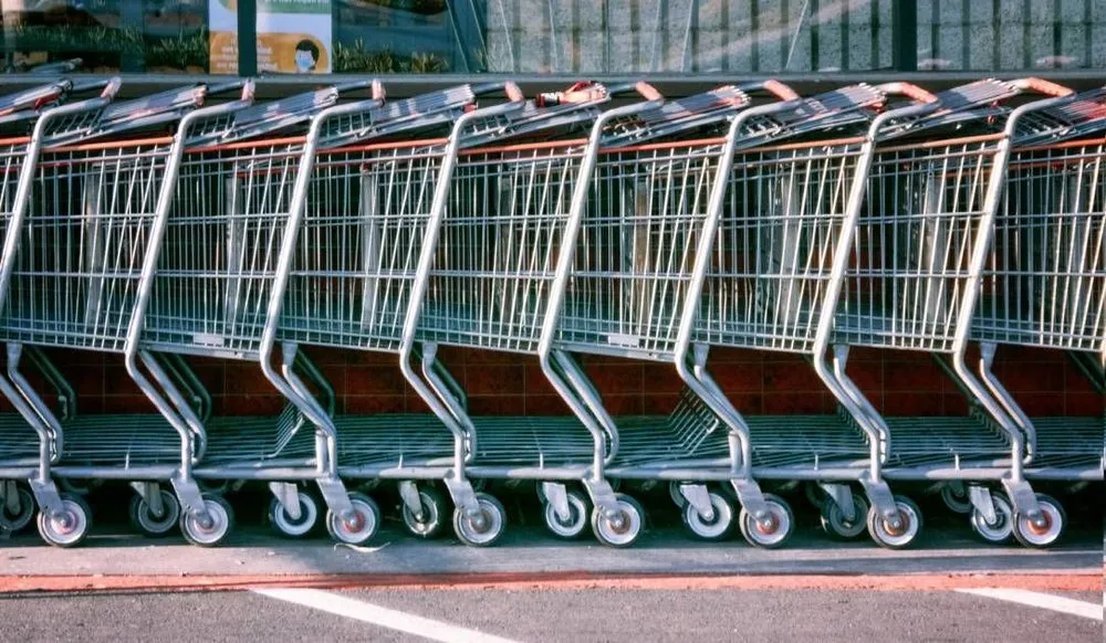 Shopping carts