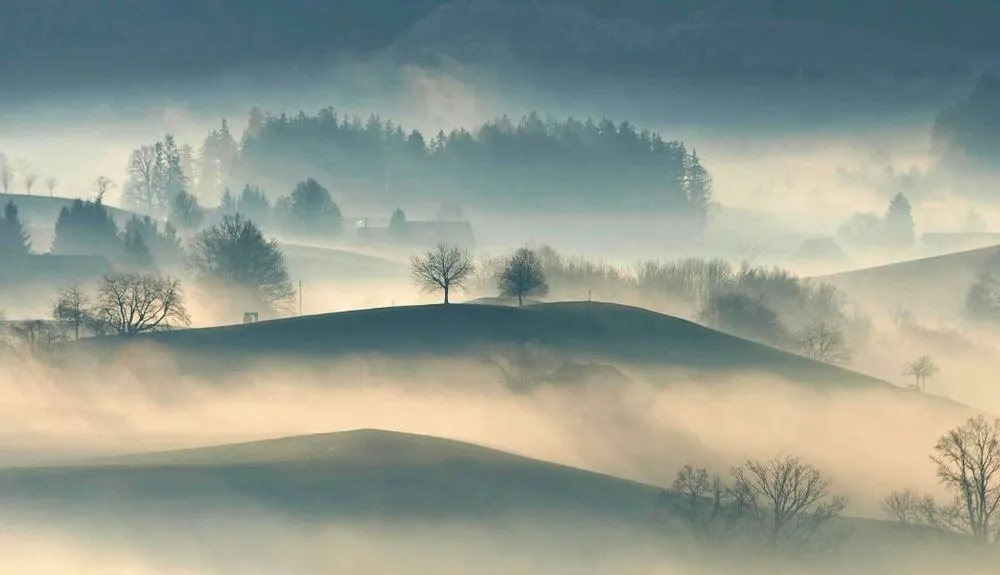 fog