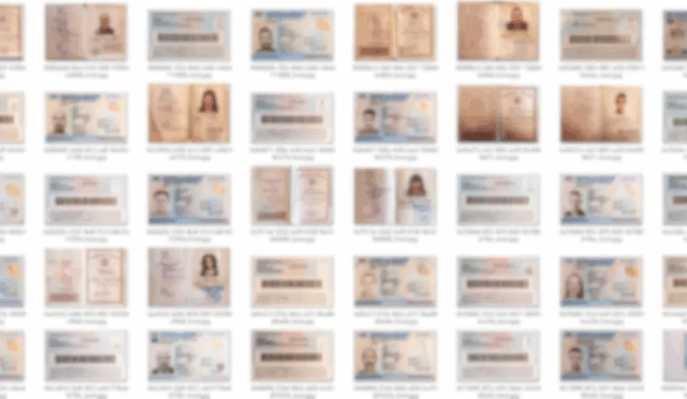 allegedly stolen IDs of guests at Italian hotels