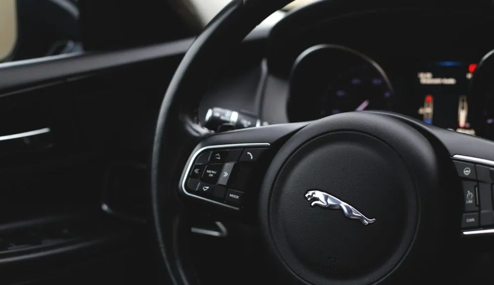 jaguar