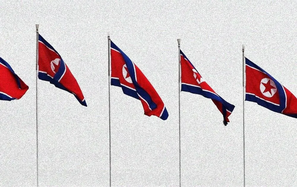 North Korea flags