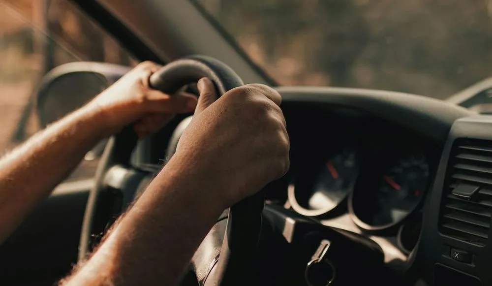 driver, steering wheel, hands