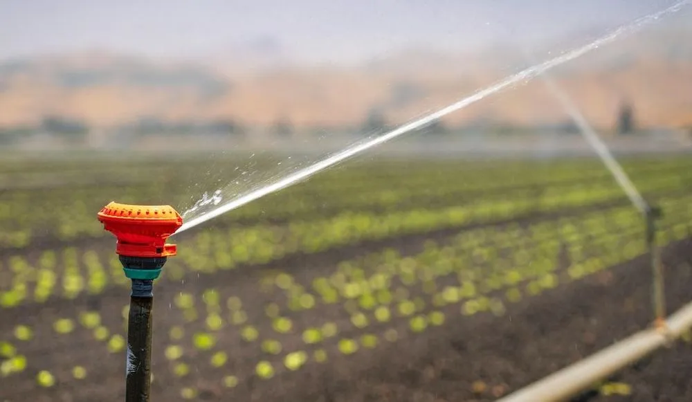 irrigation