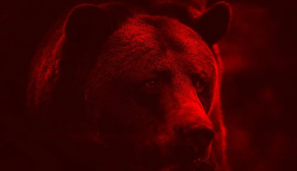 Russia bear