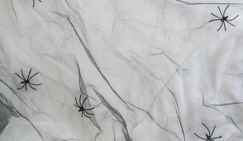 spiders