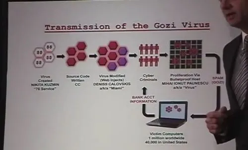 Gozi-scheme|Paunescu 2012 arrest|Gozi-variants