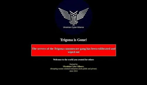 Trigona website