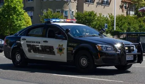mountain view pd