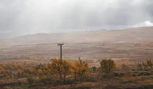 Sweden