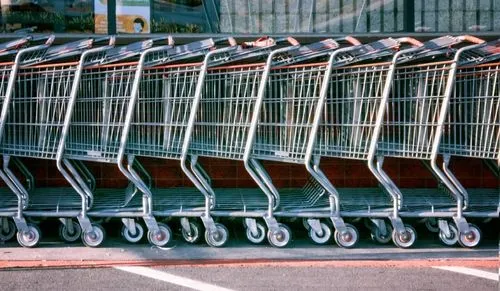Shopping carts