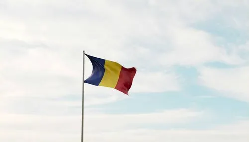 Chad's flag