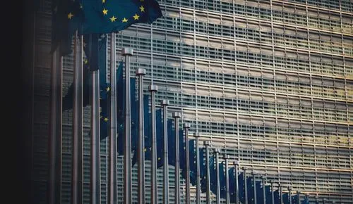 EU flags