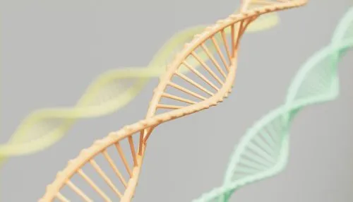 dna