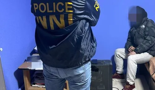 Hungarian swatting and doxxing arrest