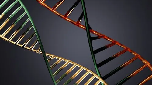 DNA