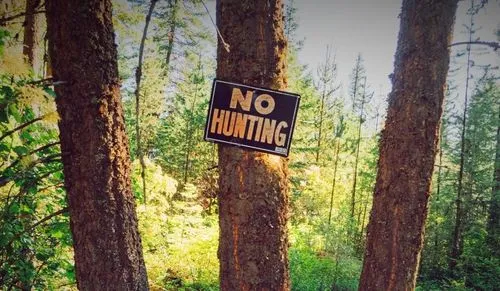 no hunting