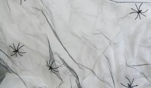 spiders