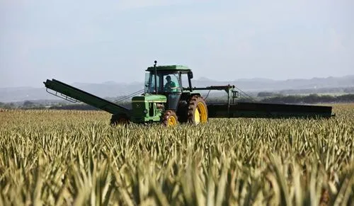 farm tractor