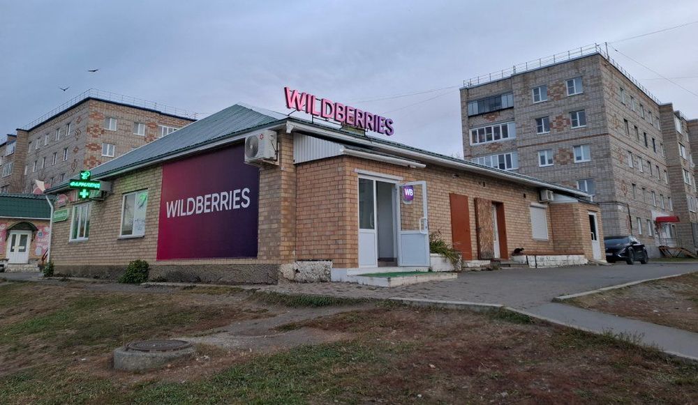 Wildberries