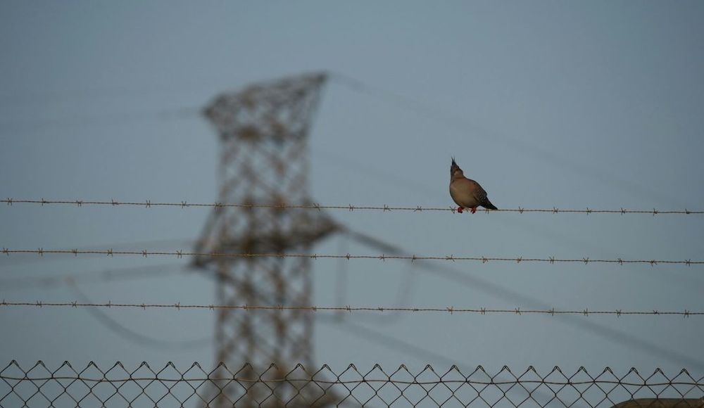 Australia electricity infrastructure
