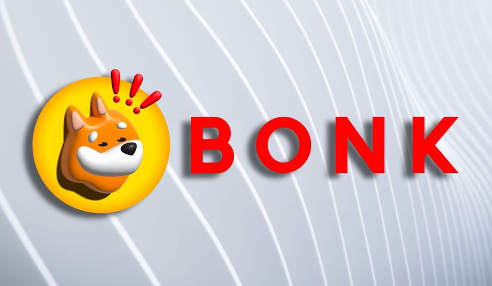 bonk crypto