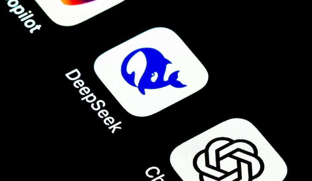 DeepSeek mobile icon