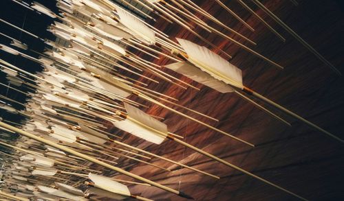 arrows