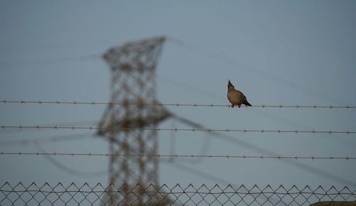 Australia electricity infrastructure