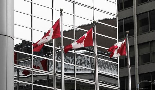 Canadian flags