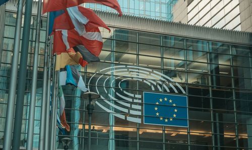 EU flags